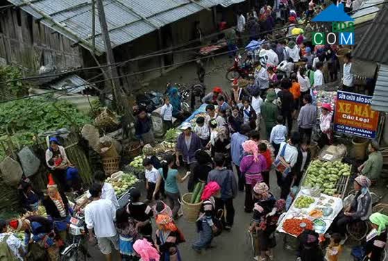 Hình ảnh Dào San, Phong Thổ, Lai Châu