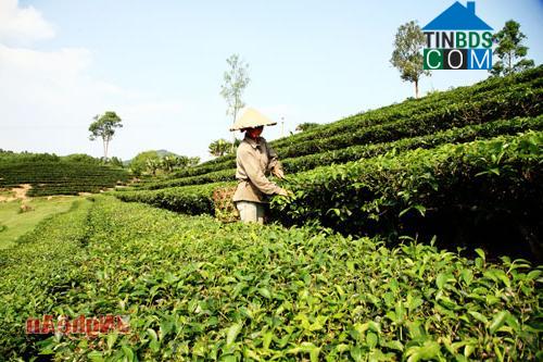 Hình ảnh Hạnh Lâm, Thanh Chương, Nghệ An