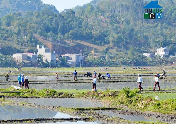 Hình ảnh Võ Lao, Văn Bàn, Lào Cai