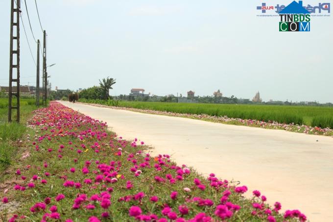 Hình ảnh Hải Quảng, Hải Hậu, Nam Định