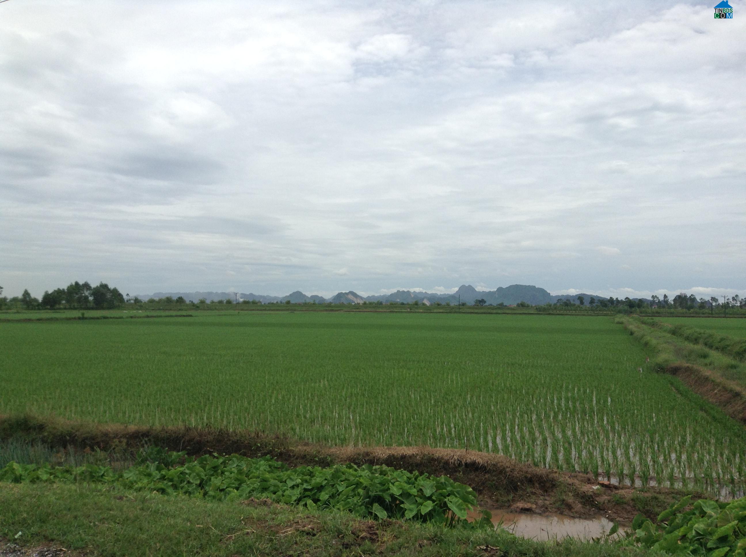 Hình ảnh Yên Hưng, Ý Yên, Nam Định
