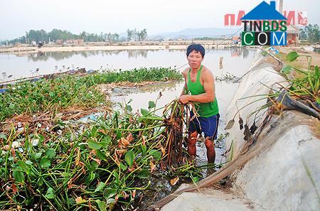 Hình ảnh Mai Hùng, Hoàng Mai, Nghệ An