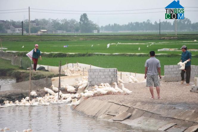 Hình ảnh Nghi Công nam, Nghi Lộc, Nghệ An