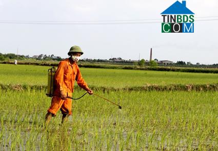 Hình ảnh Yên Mỹ, Yên Mô, Ninh Bình