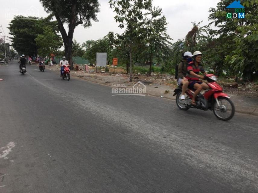 Hình ảnh Ngô Sỹ Liên, Hạ Long, Quảng Ninh