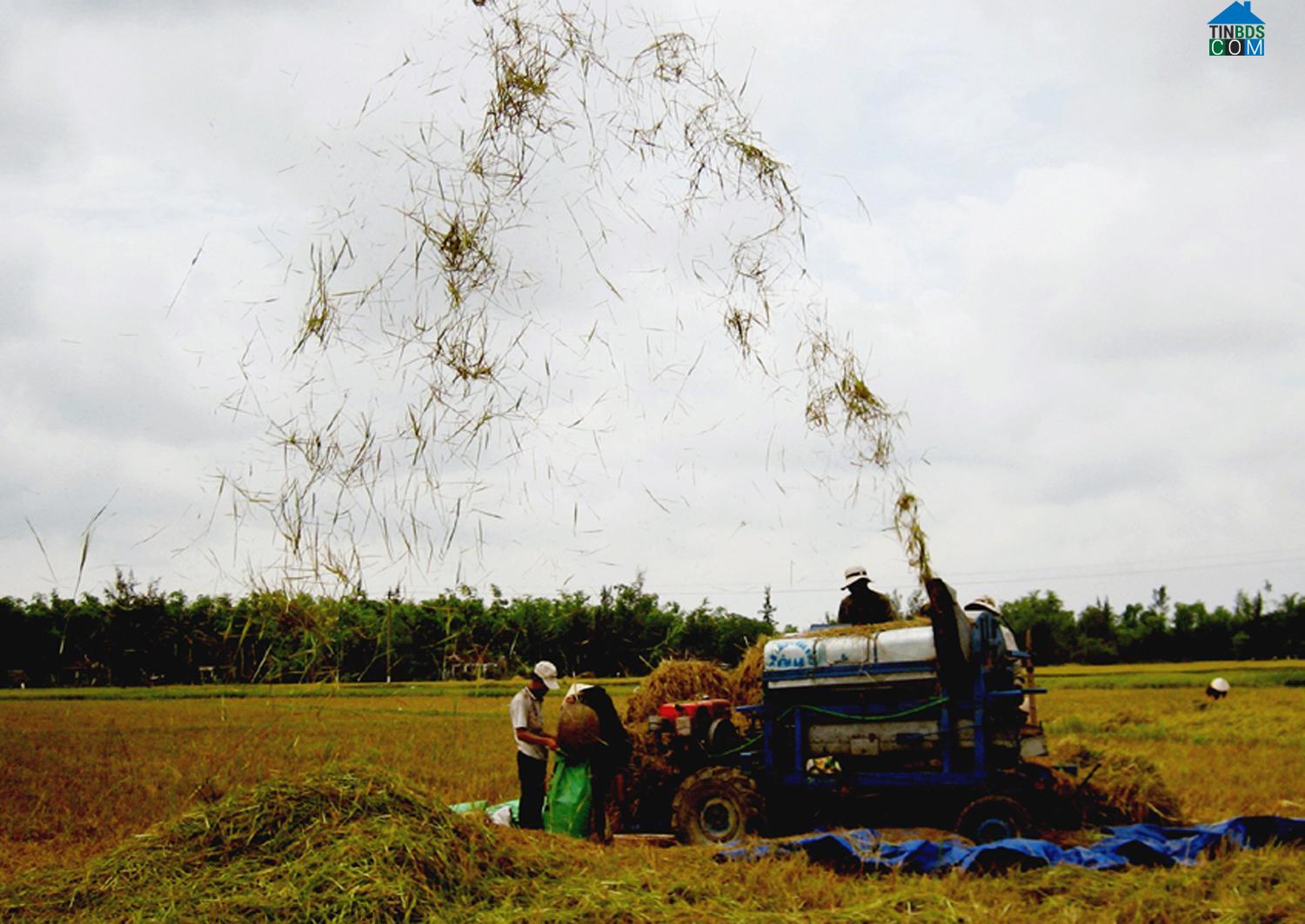 Hình ảnh Bình Phục, Thăng Bình, Quảng Nam