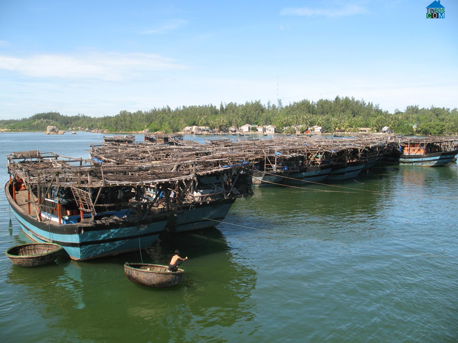 Hình ảnh Bình Chánh, Bình Sơn, Quảng Ngãi