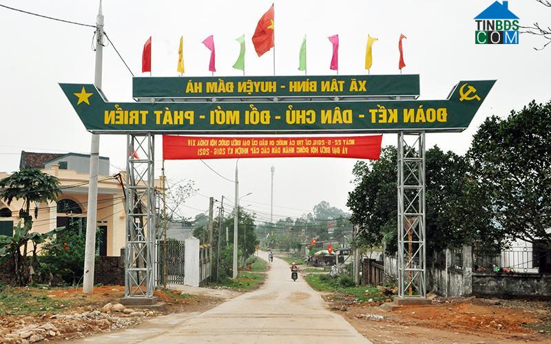 Hình ảnh Tân Bình, Đầm Hà, Quảng Ninh