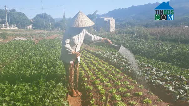 Hình ảnh Chiềng Sàng, Yên Châu, Sơn La