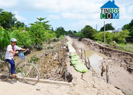 Hình ảnh Đại Ân 1, Cù Lao Dung, Sóc Trăng