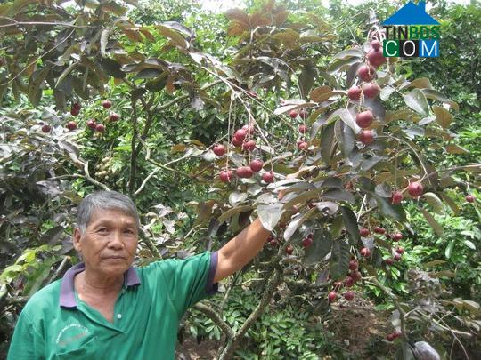 Hình ảnh Phong Nẫm, Kế Sách, Sóc Trăng