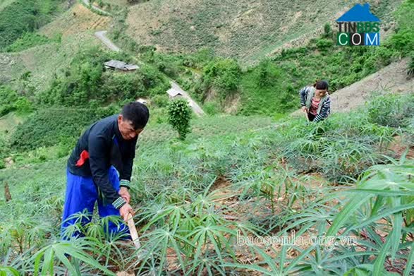 Hình ảnh Nậm Giôn, Mường La, Sơn La