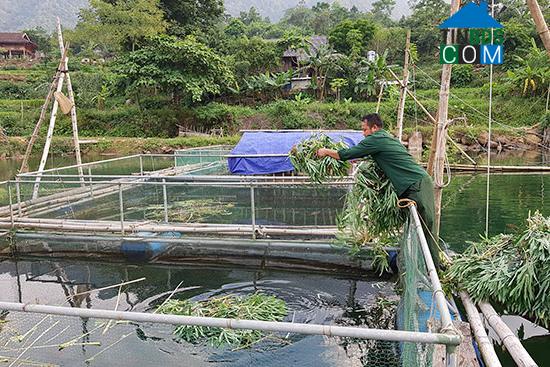 Hình ảnh Mường Thải, Phù Yên, Sơn La