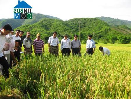 Hình ảnh Quang Chiểu, Mường Lát, Thanh Hóa