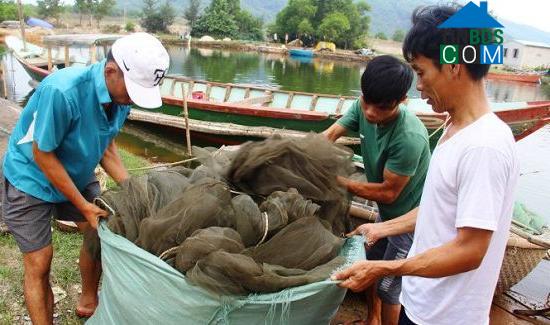 Hình ảnh Lộc Vĩnh, Phú Lộc, Thừa Thiên Huế