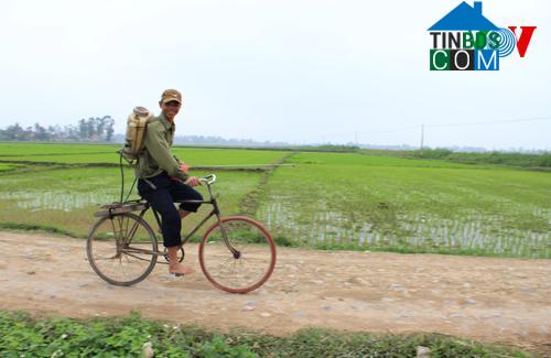 Hình ảnh Phú Yên, Thọ Xuân, Thanh Hóa