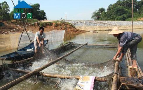 Hình ảnh Ngọc Hội, Chiêm Hóa, Tuyên Quang