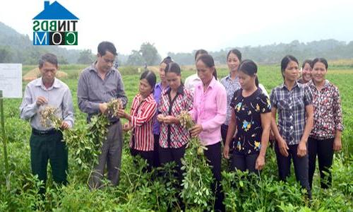 Hình ảnh Hà Lang, Chiêm Hóa, Tuyên Quang