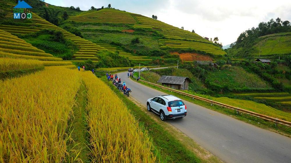 Hình ảnh Mù Cang Chải, Mù Cang Chải, Yên Bái