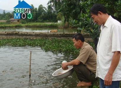 Hình ảnh Thượng Bằng La, Văn Chấn, Yên Bái