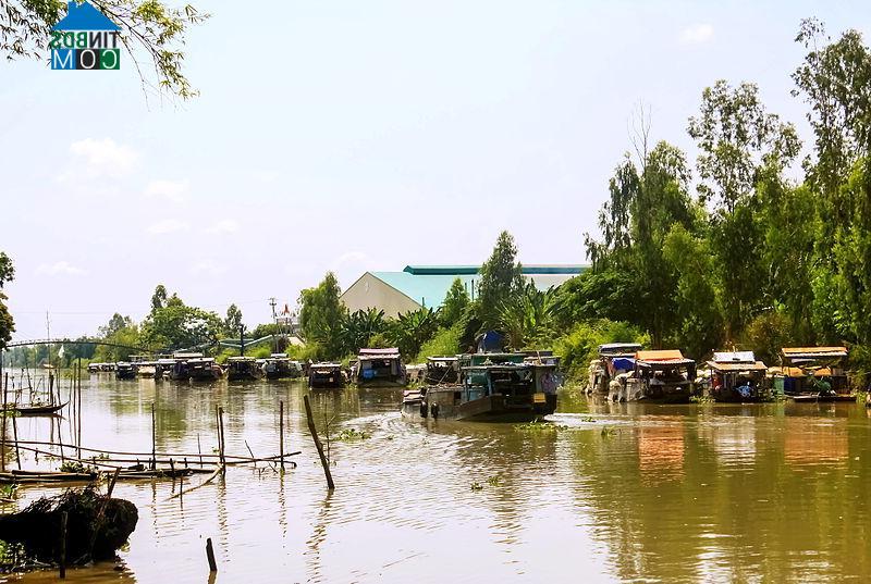 Hình ảnh Vĩnh Bình, Châu Thành, An Giang