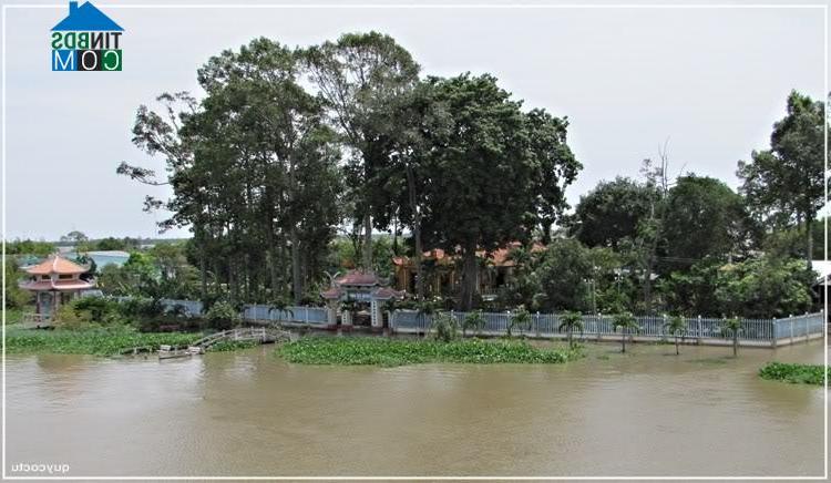 Hình ảnh Tuyên Bình, Vĩnh Hưng, Long An