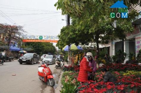 Hình ảnh Lê Lai, Bắc Giang, Bắc Giang