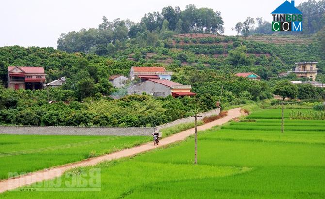 Hình ảnh Đồng Cốc, Lục Ngạn, Bắc Giang
