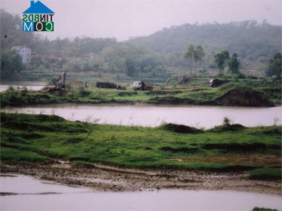 Hình ảnh Tam Đa, Yên Phong, Bắc Ninh