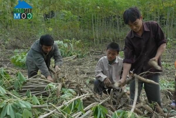 Hình ảnh Quảng Lâm, Bảo Lâm, Cao Bằng