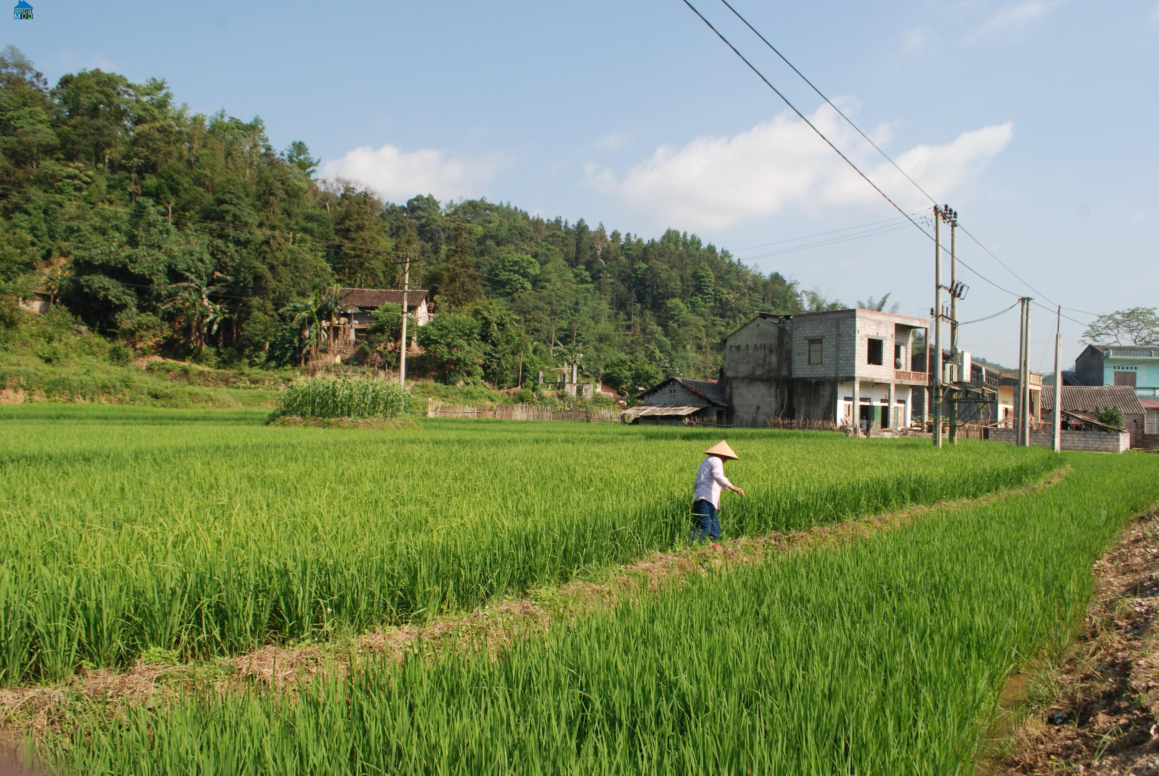 Hình ảnh Minh Long, Hạ Lang, Cao Bằng