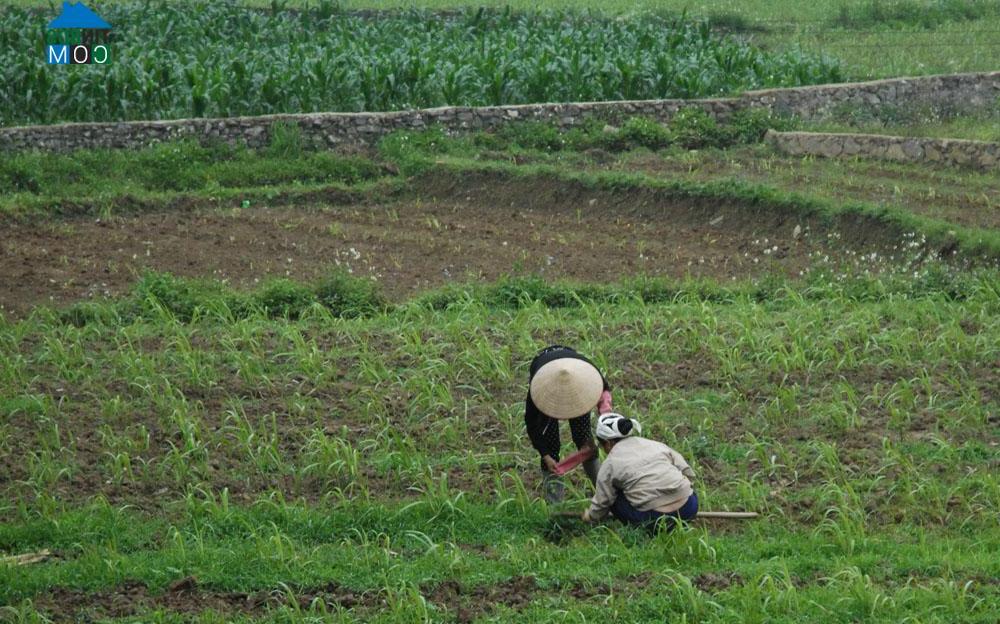 Hình ảnh Thể Dục, Nguyên Bình, Cao Bằng