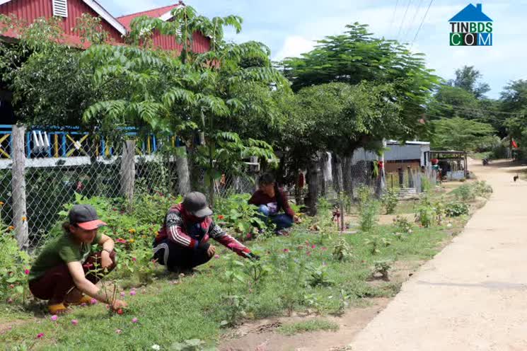 Hình ảnh Sró, Kông Chro, Gia Lai