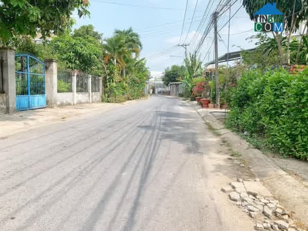 Hình ảnh Nguyễn Trường Tộ, Thành phố Cao Lãnh, Đồng Tháp