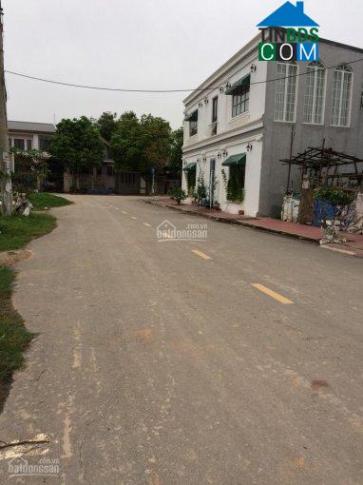Hình ảnh Nguyễn Trường Tộ, Vĩnh Yên, Vĩnh Phúc