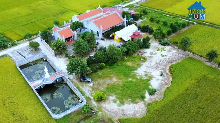 Hình ảnh An Ninh, Bình Lục, Hà Nam