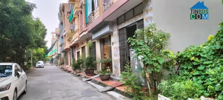 Hình ảnh Đặng Đoàn Bằng, Nam Định, Nam Định