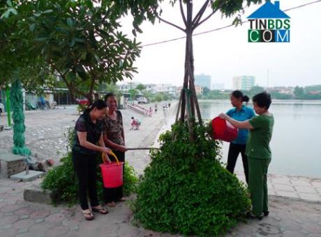 Hình ảnh Hồ Rùa, Thanh Xuân, Hà Nội