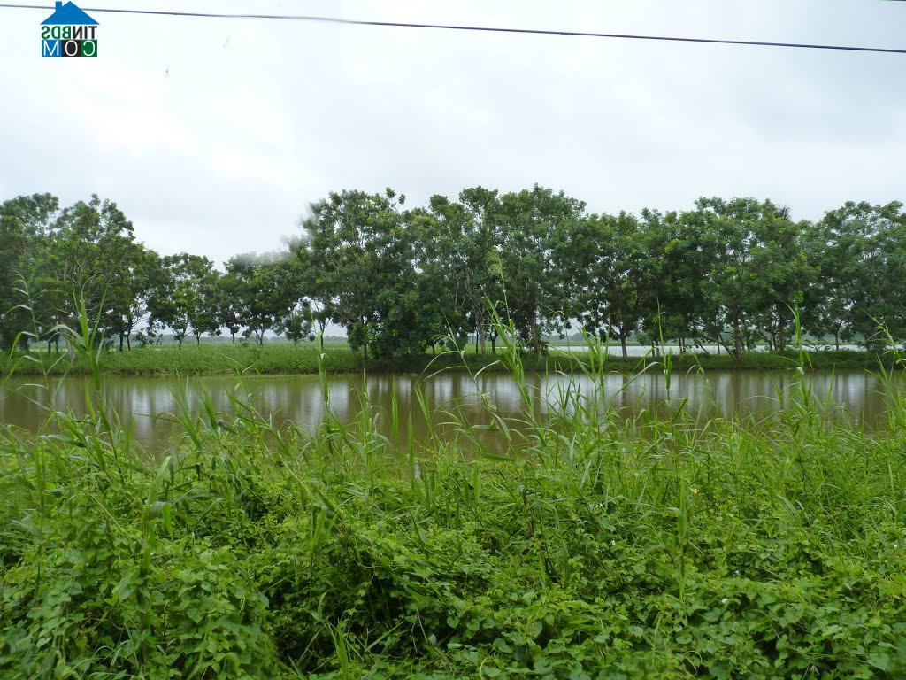 Hình ảnh Đông Thái, An Biên, Kiên Giang