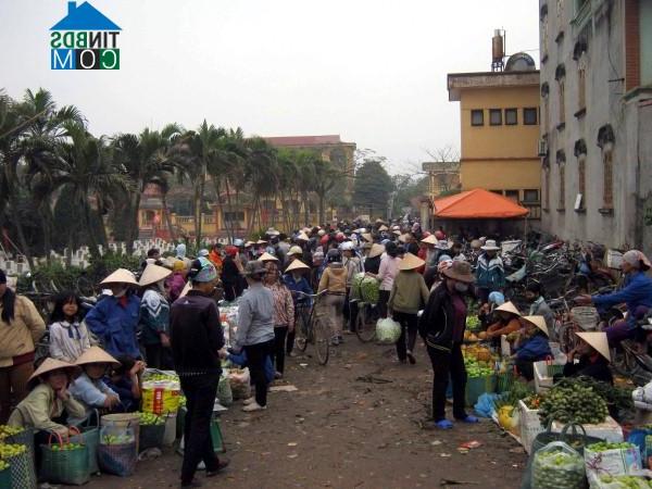 Hình ảnh Đông Tảo, Khoái Châu, Hưng Yên