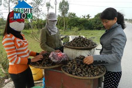 Hình ảnh Thiện Phiến, Tiên Lữ, Hưng Yên