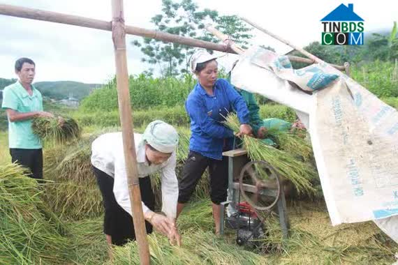 Hình ảnh Chăn Nưa, Sìn Hồ, Lai Châu