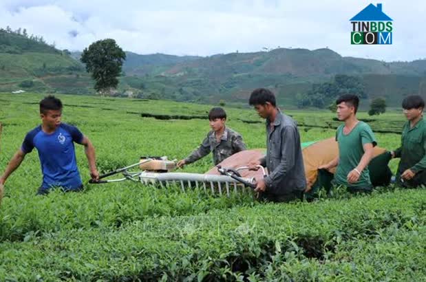 Hình ảnh Phúc Khoa, Tân Uyên, Lai Châu