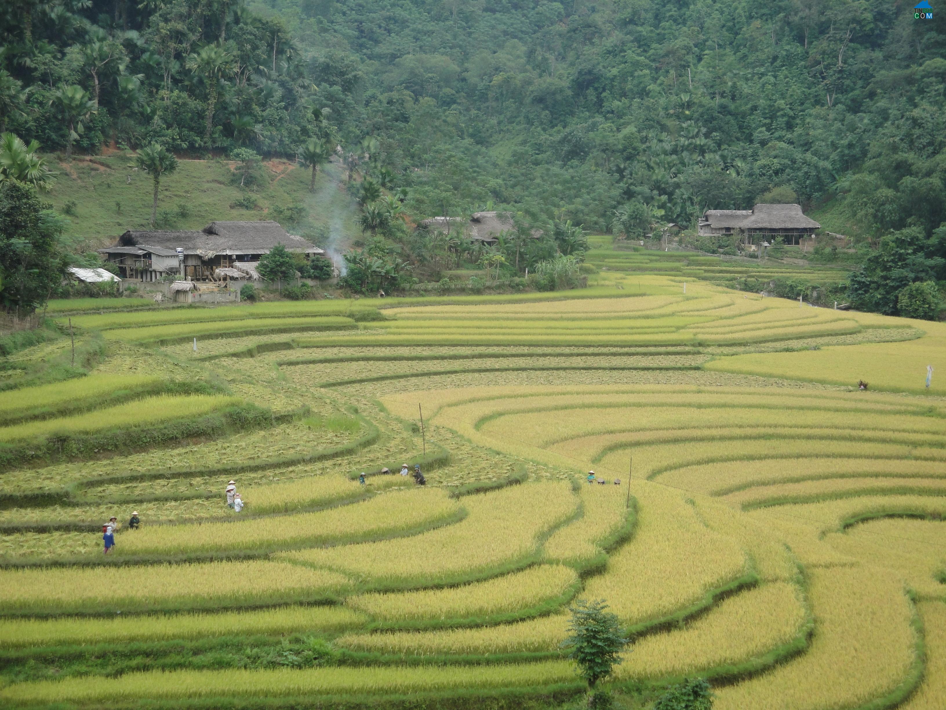 Hình ảnh Tân Tiến, Bảo Yên, Lào Cai