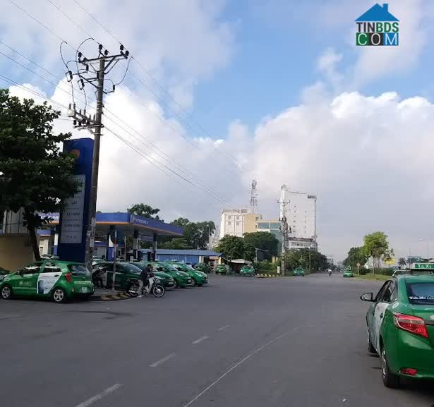 Hình ảnh Trần Anh Tông, Nam Định, Nam Định