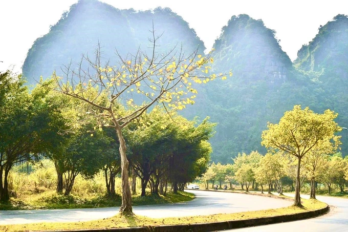 Hình ảnh Tràng An, Ninh Bình, Ninh Bình
