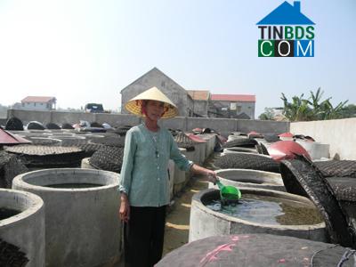 Hình ảnh Quảng Xuân, Quảng Trạch, Quảng Bình