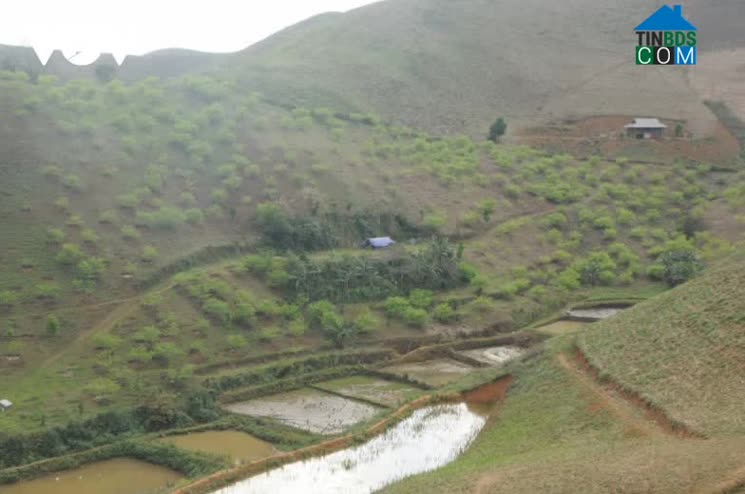 Hình ảnh Chiềng On, Yên Châu, Sơn La