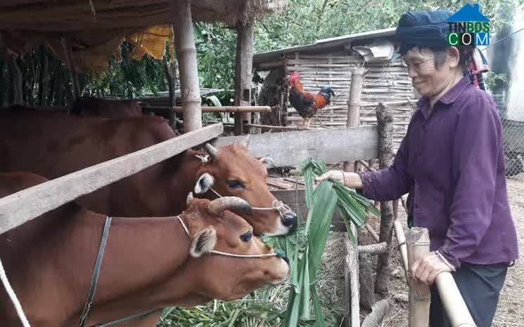 Hình ảnh Chiềng Sàng, Yên Châu, Sơn La