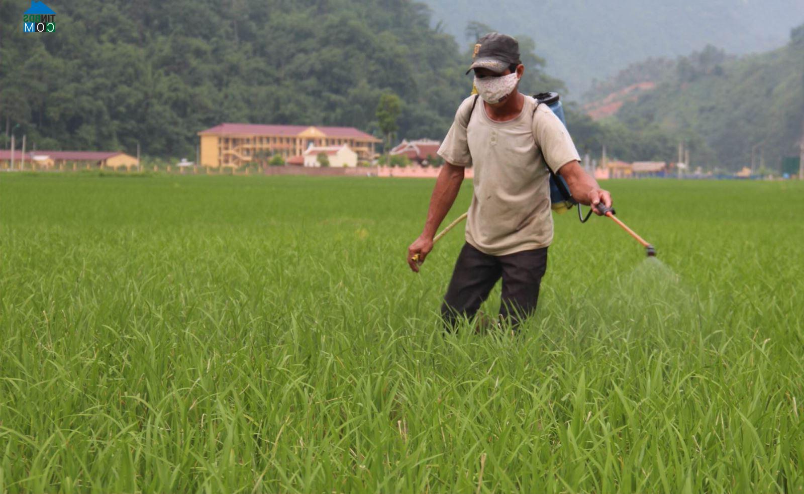 Hình ảnh Bình An, Lâm Bình, Tuyên Quang